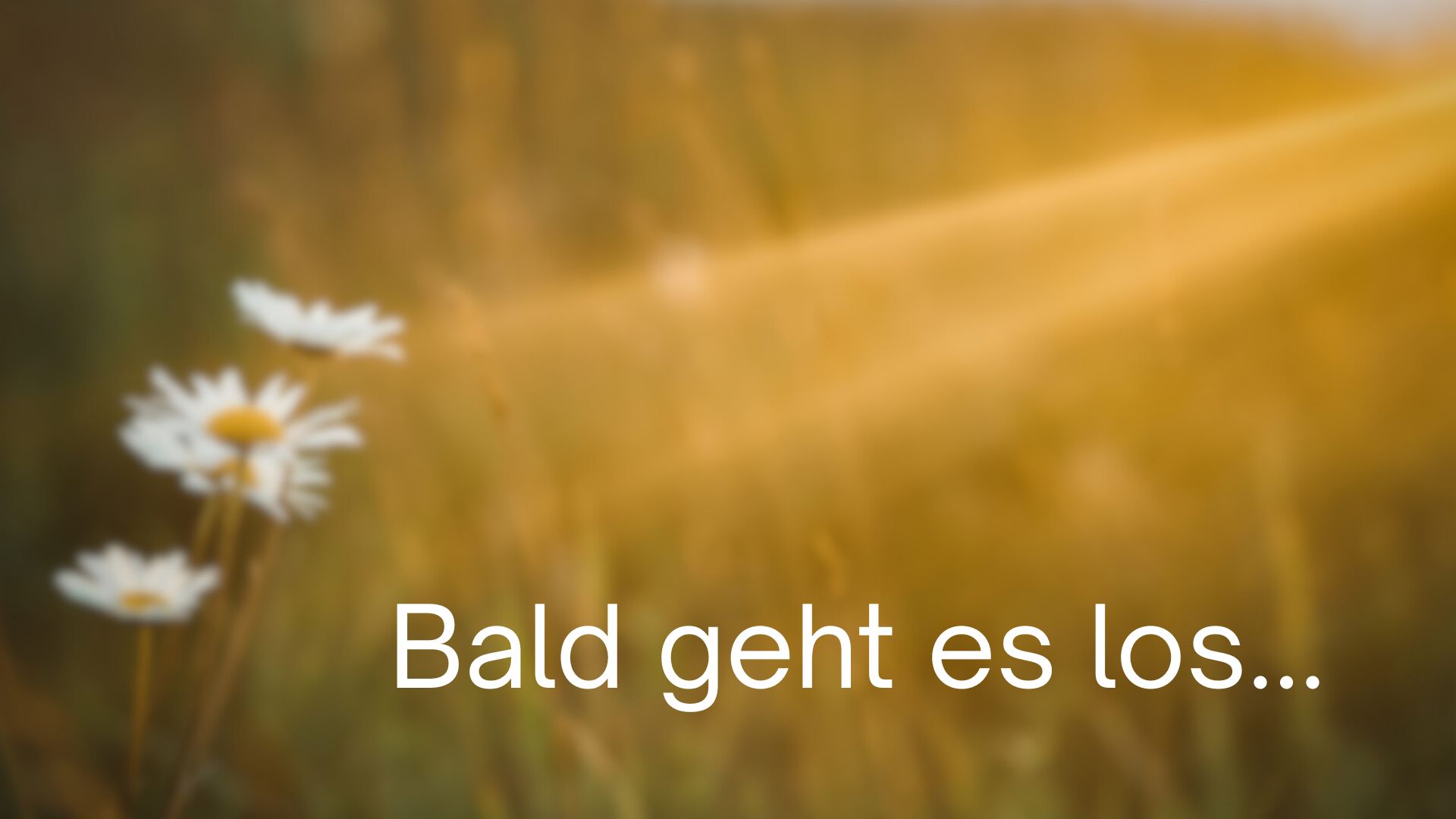 Dr. med. Peter Prock